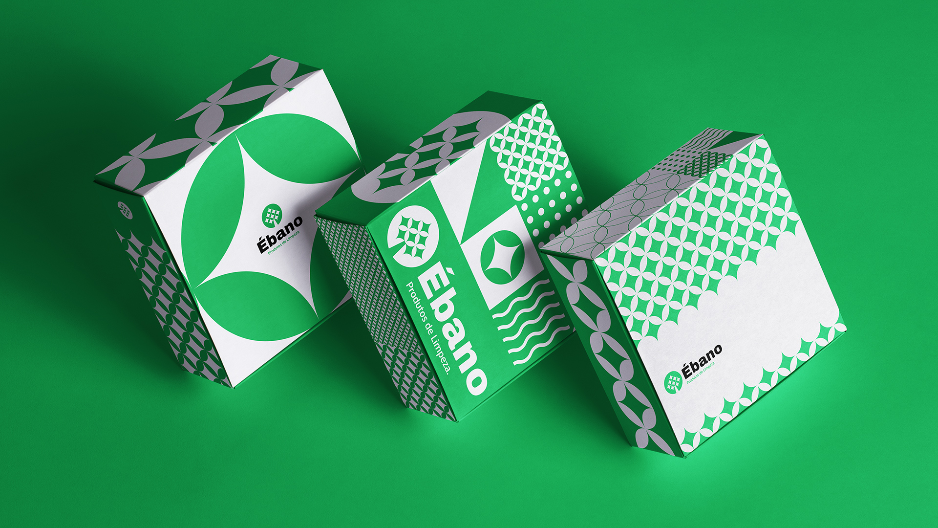 especialista en identidad visual, diseño grafico paraguay, diseño de logos en paraguay, diseño gráfico, diseño de logos y marcas