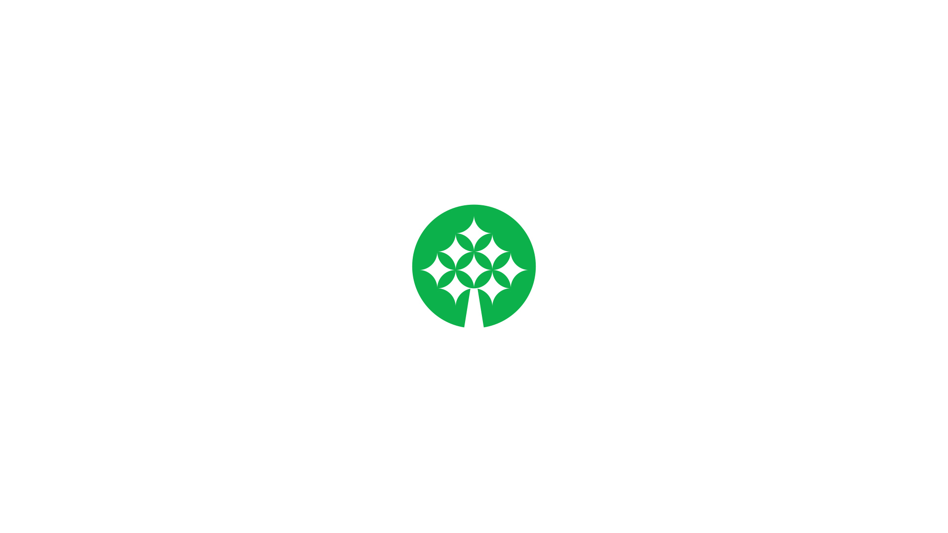 especialista en identidad visual, diseño grafico paraguay, diseño de logos en paraguay, diseño gráfico, diseño de logos y marcas