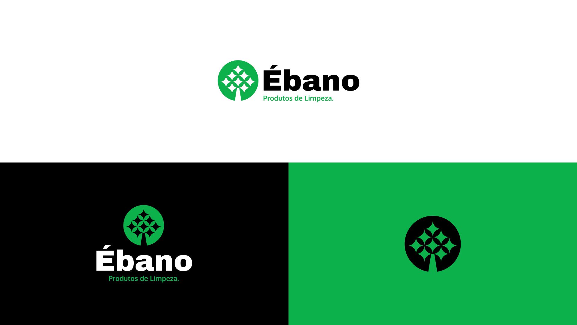 especialista en identidad visual, diseño grafico paraguay, diseño de logos en paraguay, diseño gráfico, diseño de logos y marcas