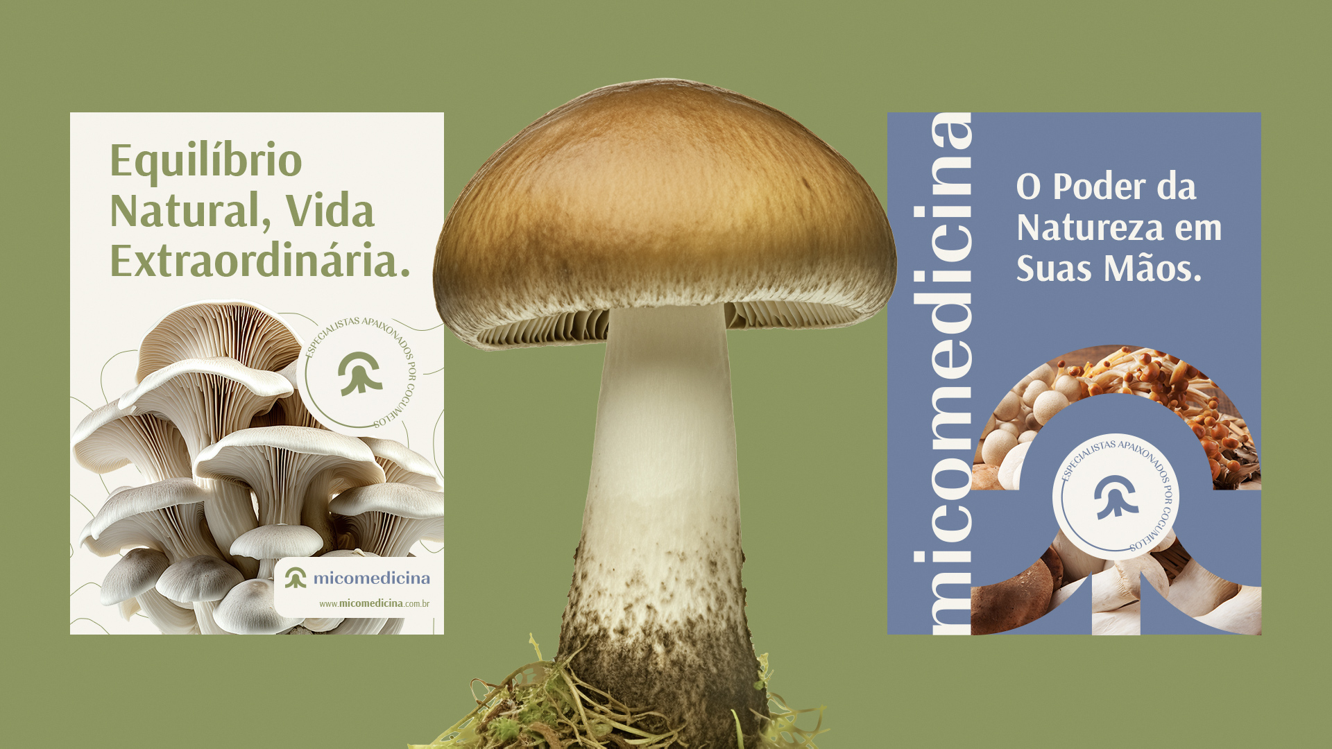 especialista en identidad visual, diseño grafico paraguay, diseño de logos en paraguay, diseño gráfico, diseño de logos y marcas