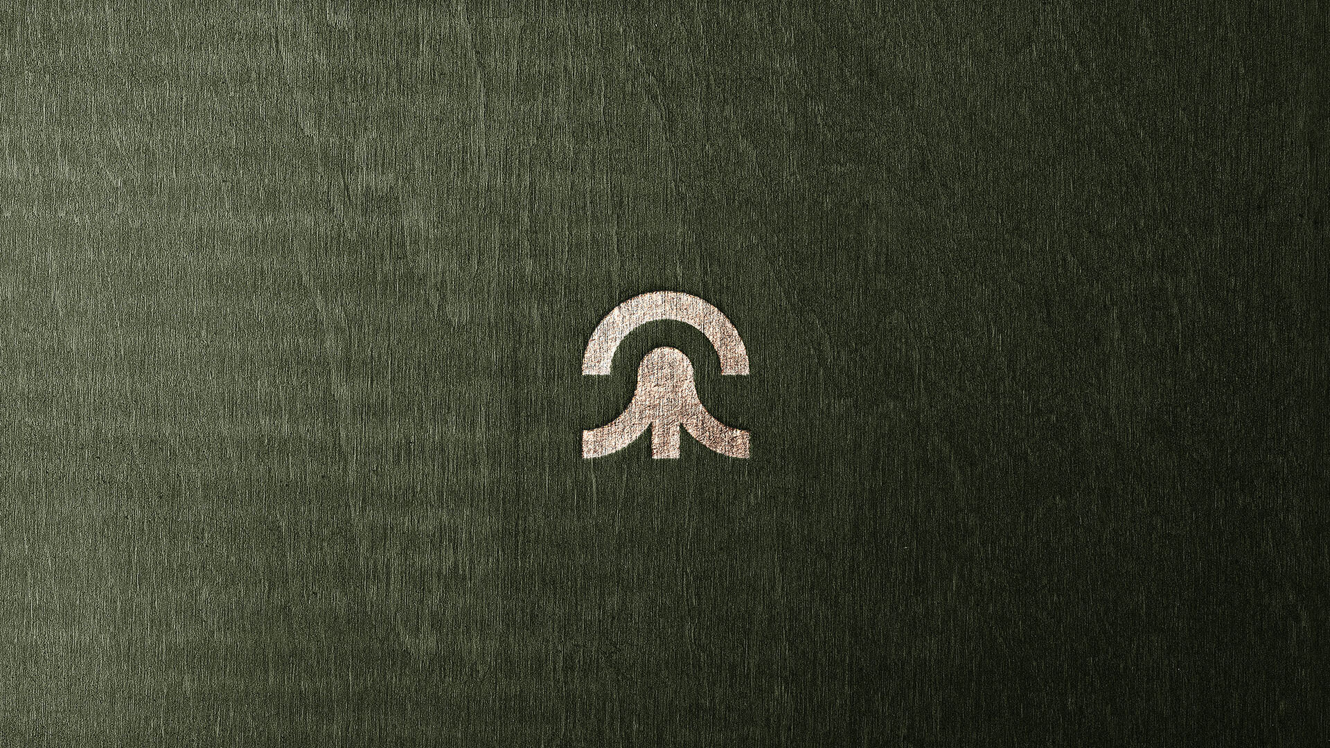 especialista en identidad visual, diseño grafico paraguay, diseño de logos en paraguay, diseño gráfico, diseño de logos y marcas