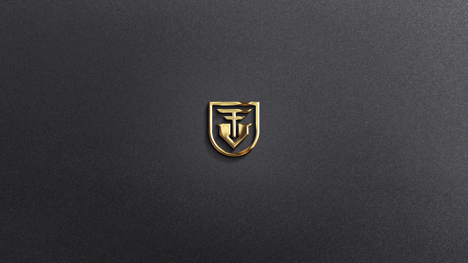 especialista en identidad visual, diseño grafico paraguay, diseño de logos en paraguay, diseño gráfico, diseño de logos y marcas