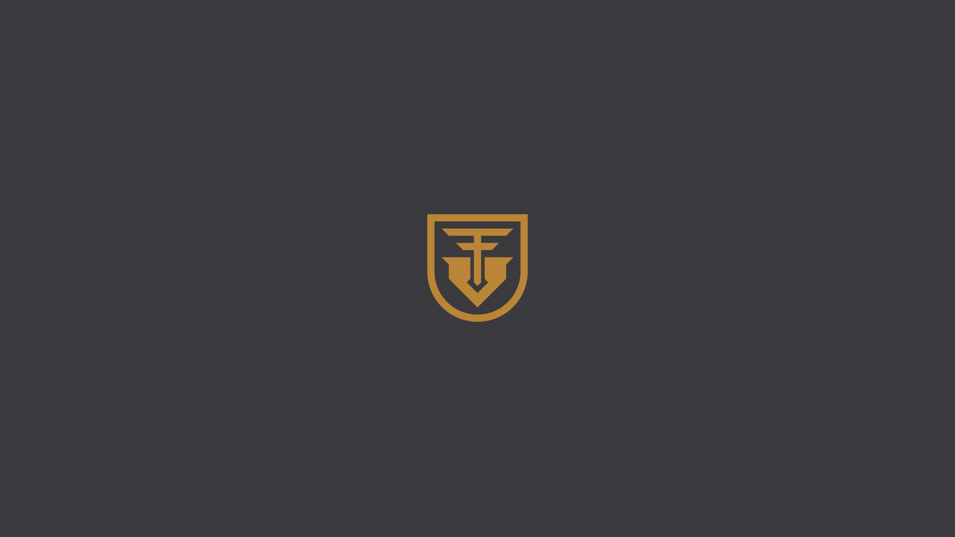 especialista en identidad visual, diseño grafico paraguay, diseño de logos en paraguay, diseño gráfico, diseño de logos y marcas