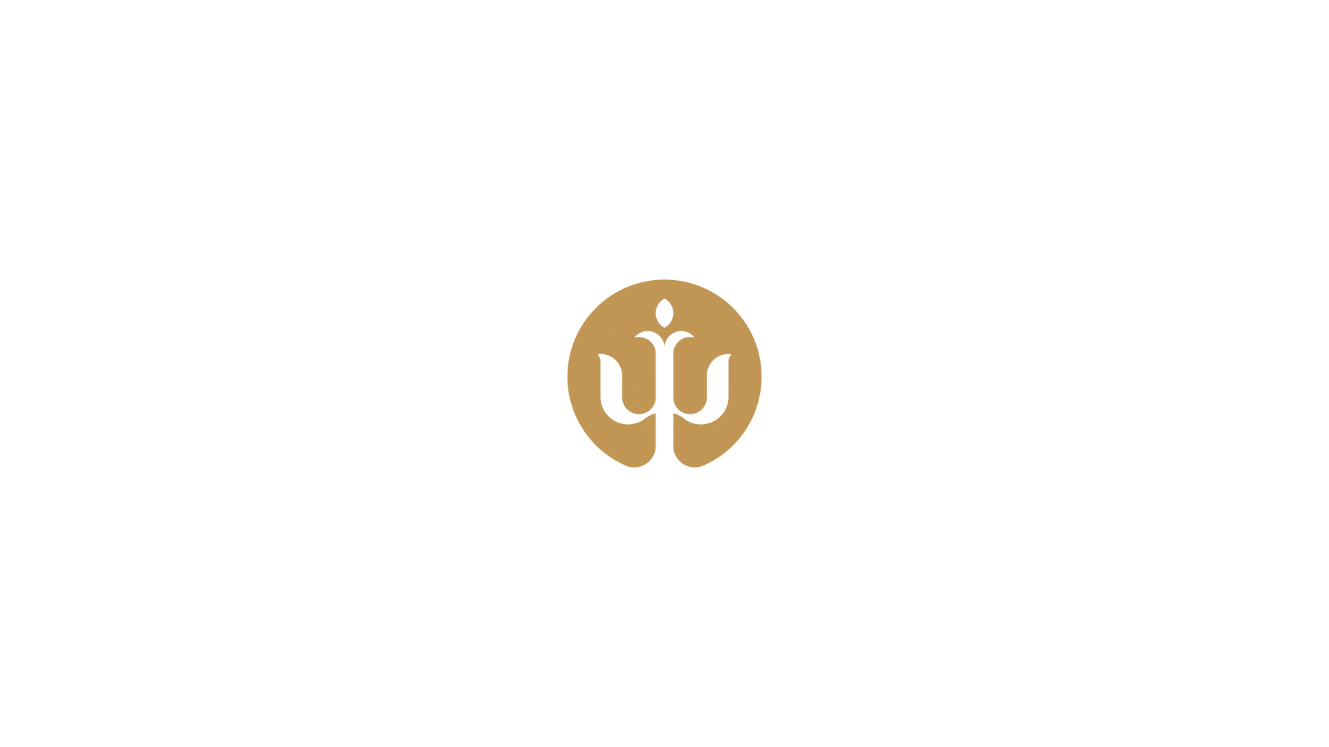 especialista en identidad visual, diseño grafico paraguay, diseño de logos en paraguay, diseño gráfico, diseño de logos y marcas