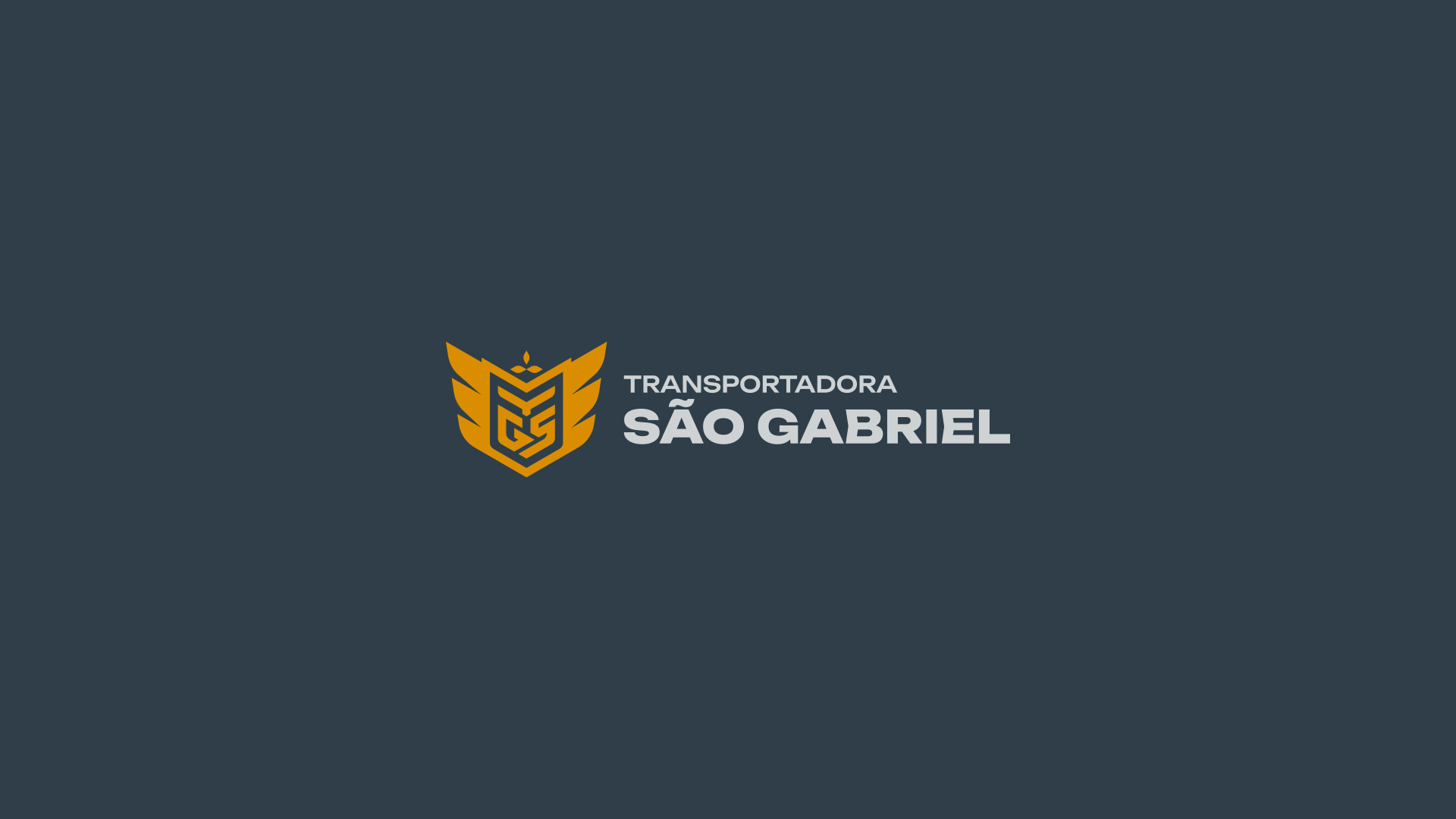 especialista en identidad visual, diseño grafico paraguay, diseño de logos en paraguay, diseño gráfico, diseño de logos y marcas