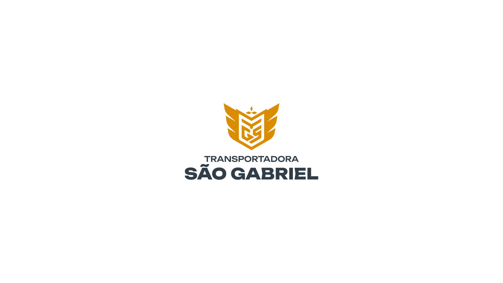 especialista en identidad visual, diseño grafico paraguay, diseño de logos en paraguay, diseño gráfico, diseño de logos y marcas