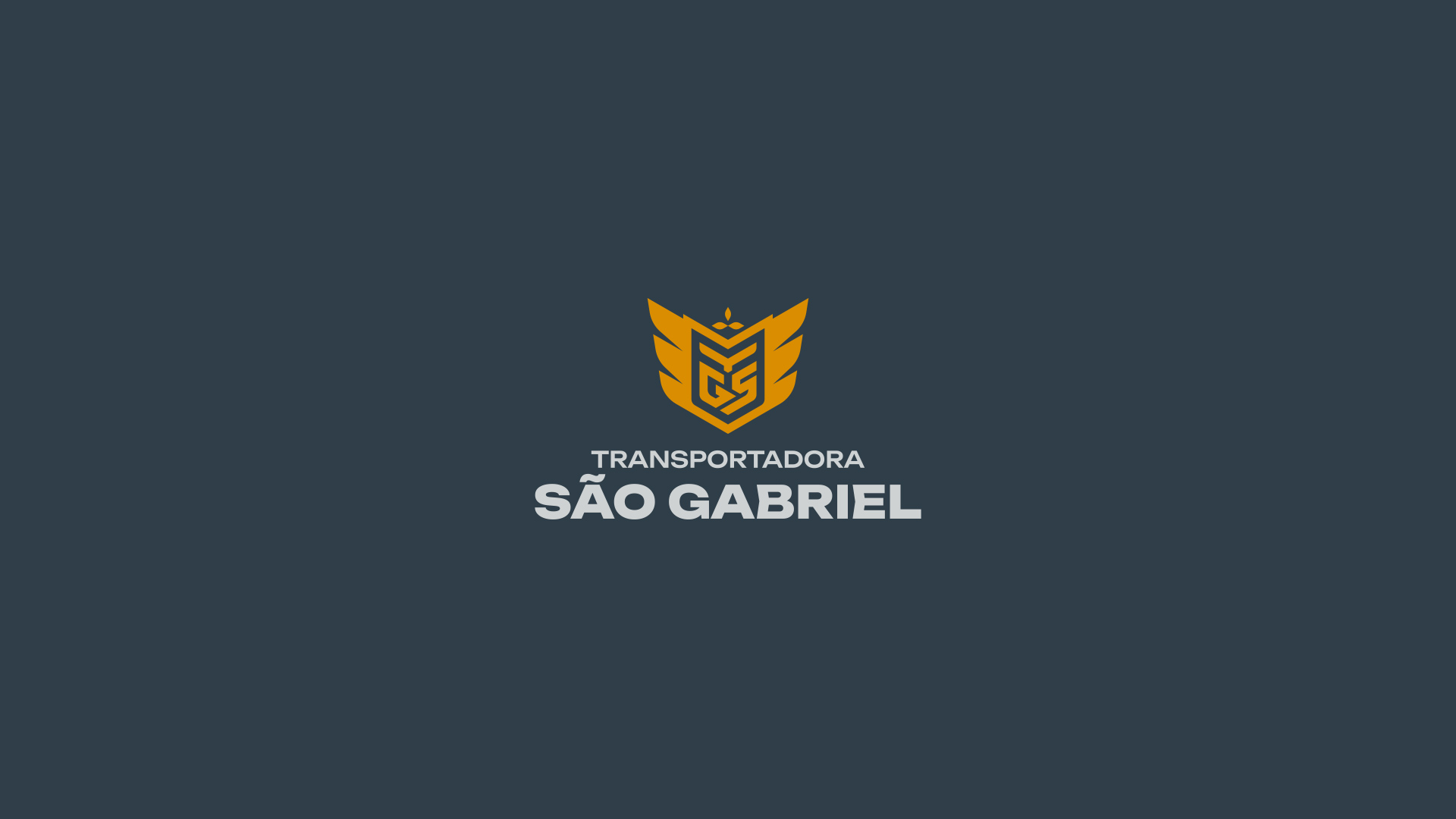 especialista en identidad visual, diseño grafico paraguay, diseño de logos en paraguay, diseño gráfico, diseño de logos y marcas