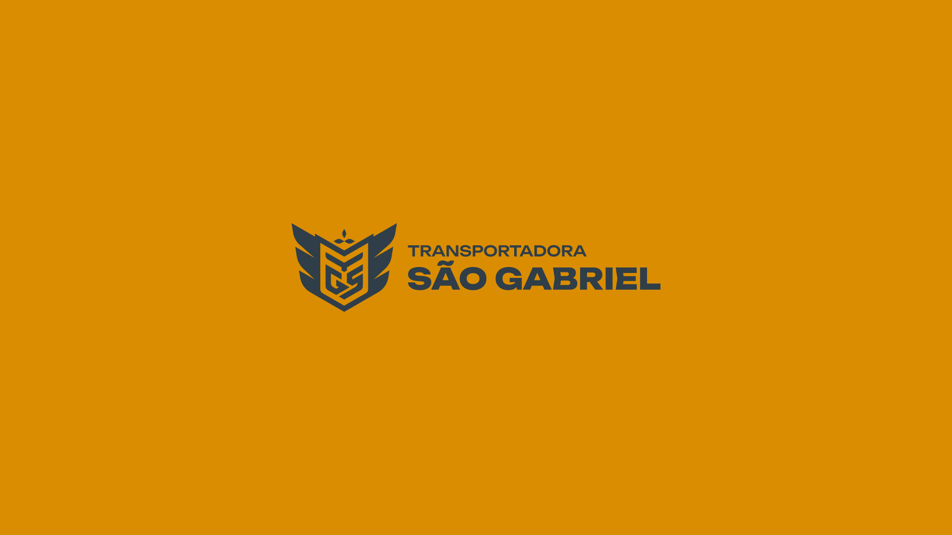 especialista en identidad visual, diseño grafico paraguay, diseño de logos en paraguay, diseño gráfico, diseño de logos y marcas