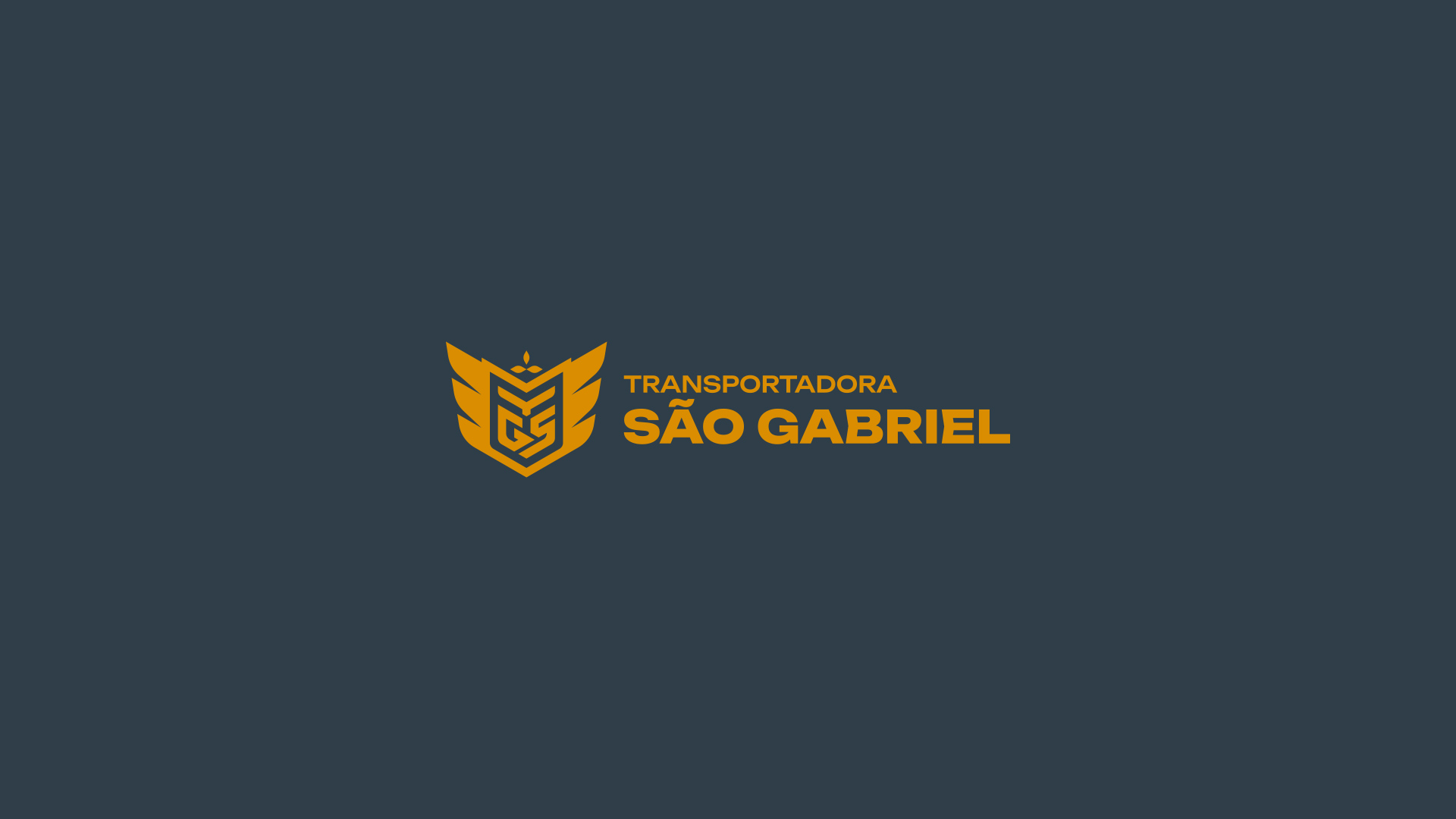 especialista en identidad visual, diseño grafico paraguay, diseño de logos en paraguay, diseño gráfico, diseño de logos y marcas