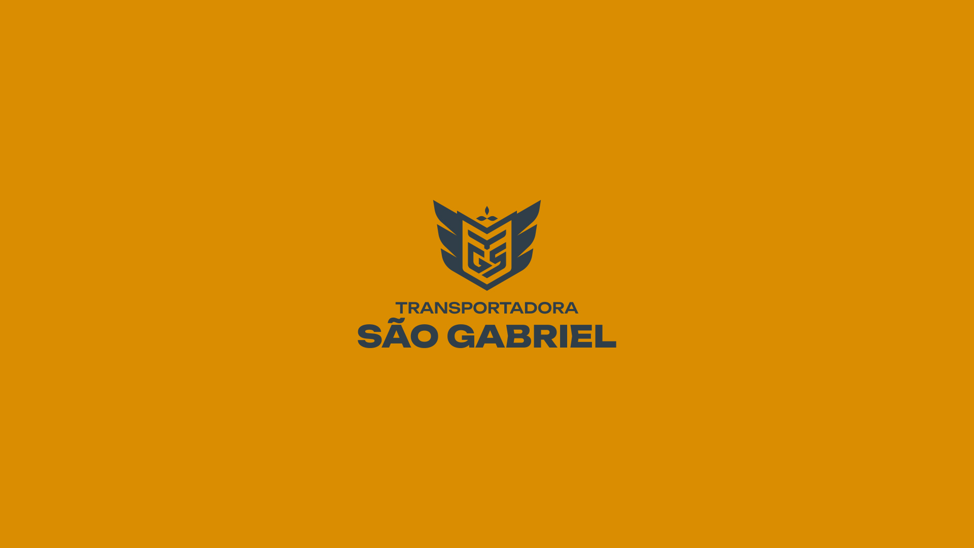 especialista en identidad visual, diseño grafico paraguay, diseño de logos en paraguay, diseño gráfico, diseño de logos y marcas