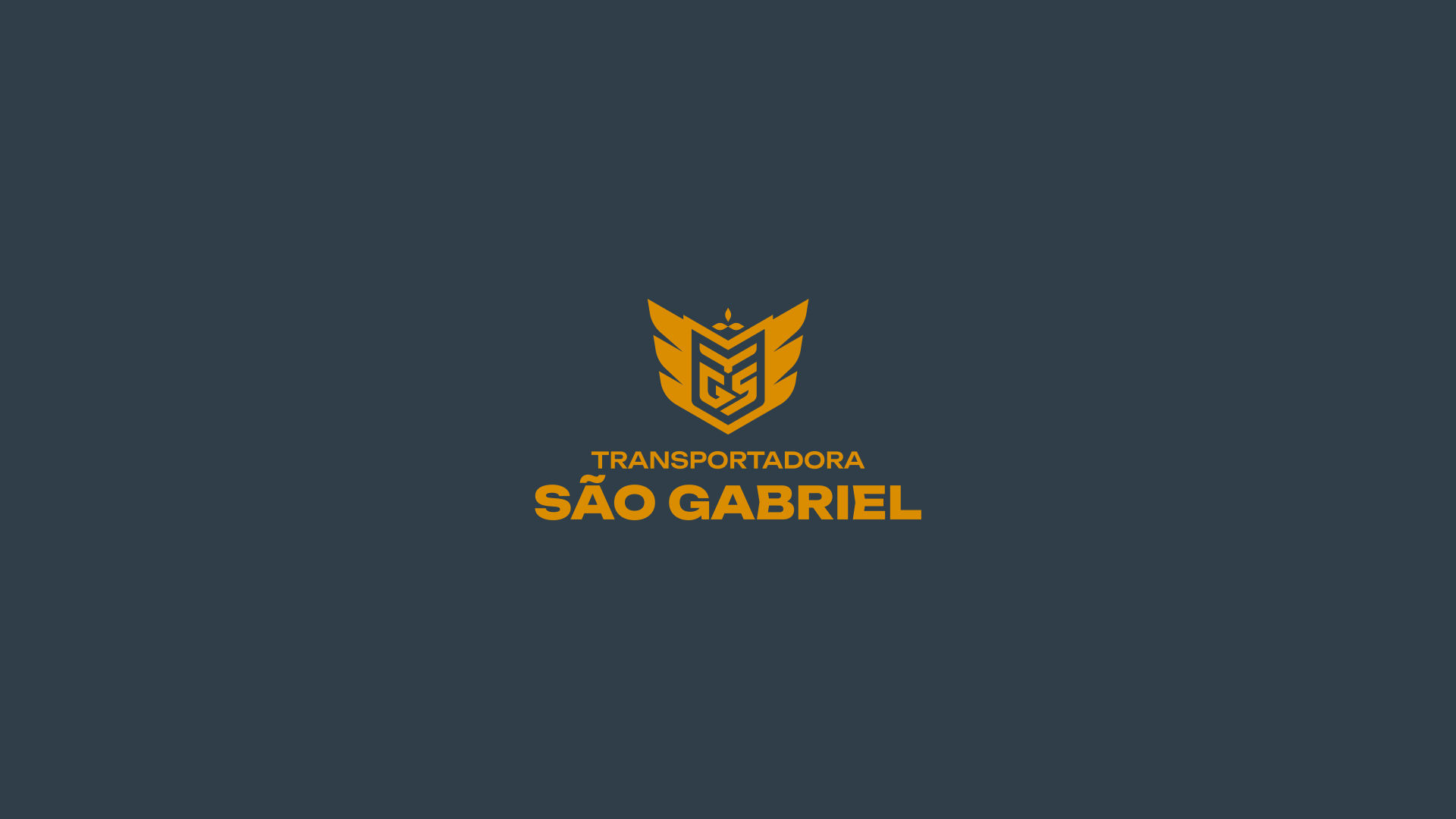 especialista en identidad visual, diseño grafico paraguay, diseño de logos en paraguay, diseño gráfico, diseño de logos y marcas