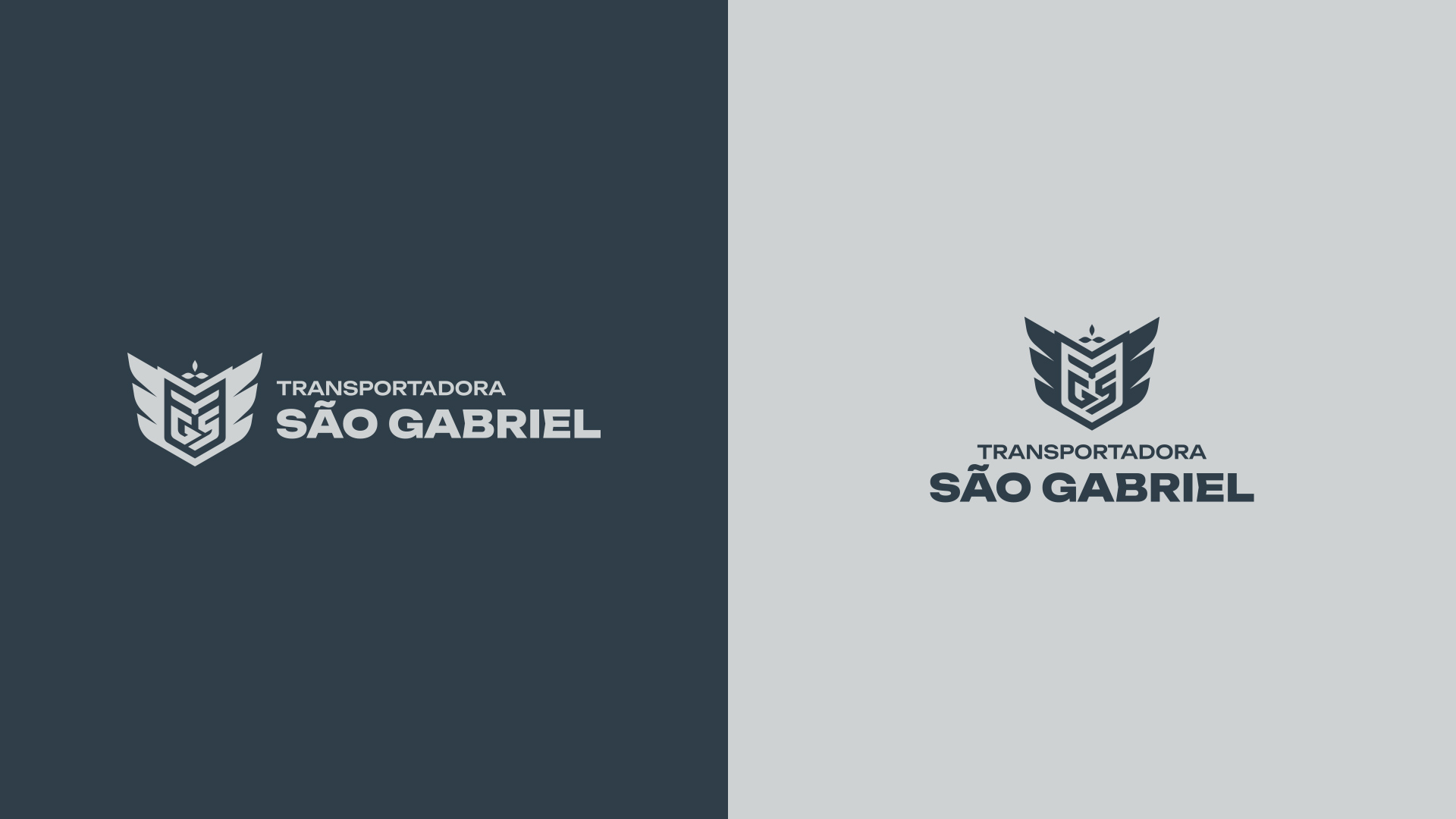 especialista en identidad visual, diseño grafico paraguay, diseño de logos en paraguay, diseño gráfico, diseño de logos y marcas