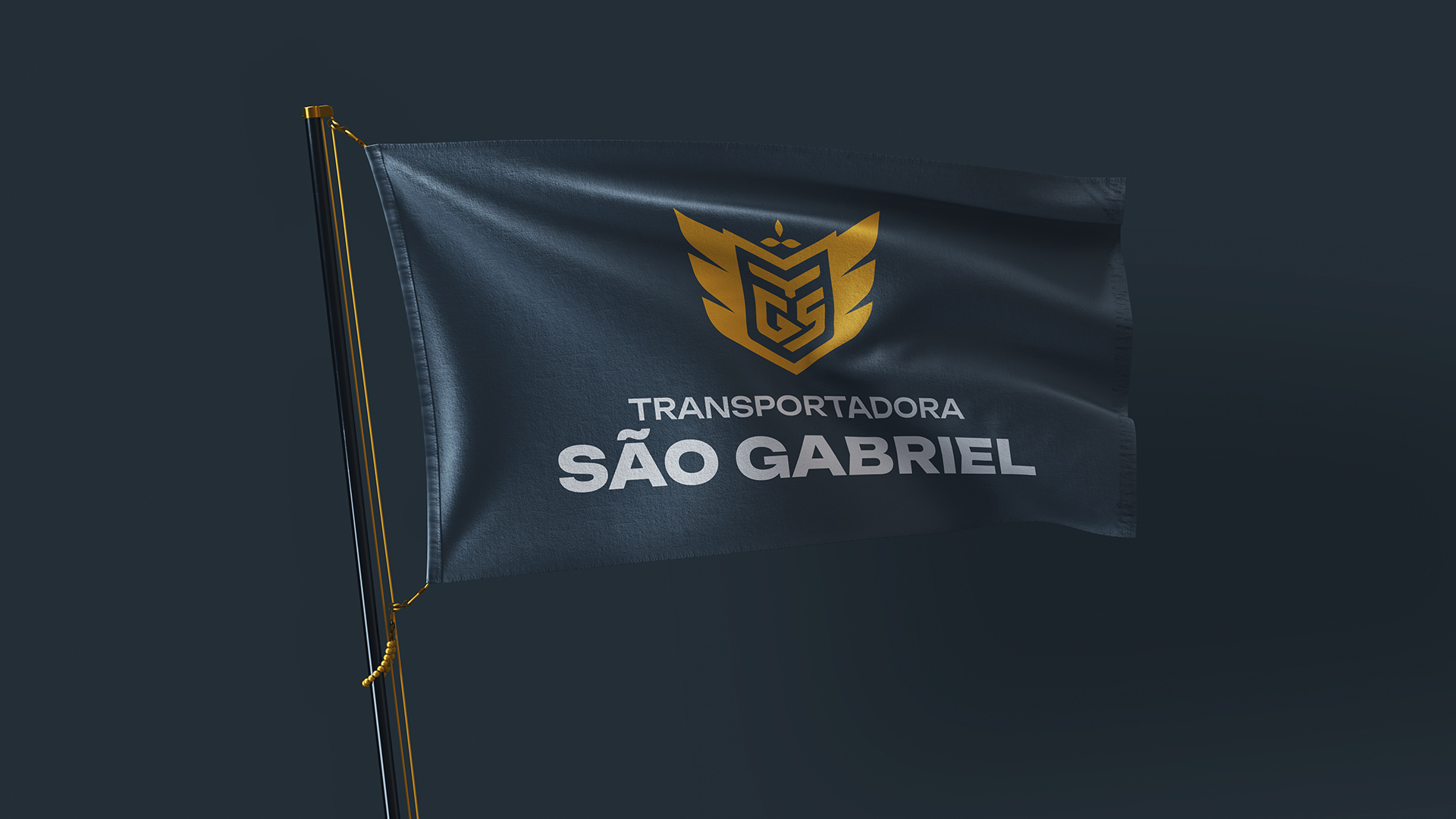 especialista en identidad visual, diseño grafico paraguay, diseño de logos en paraguay, diseño gráfico, diseño de logos y marcas