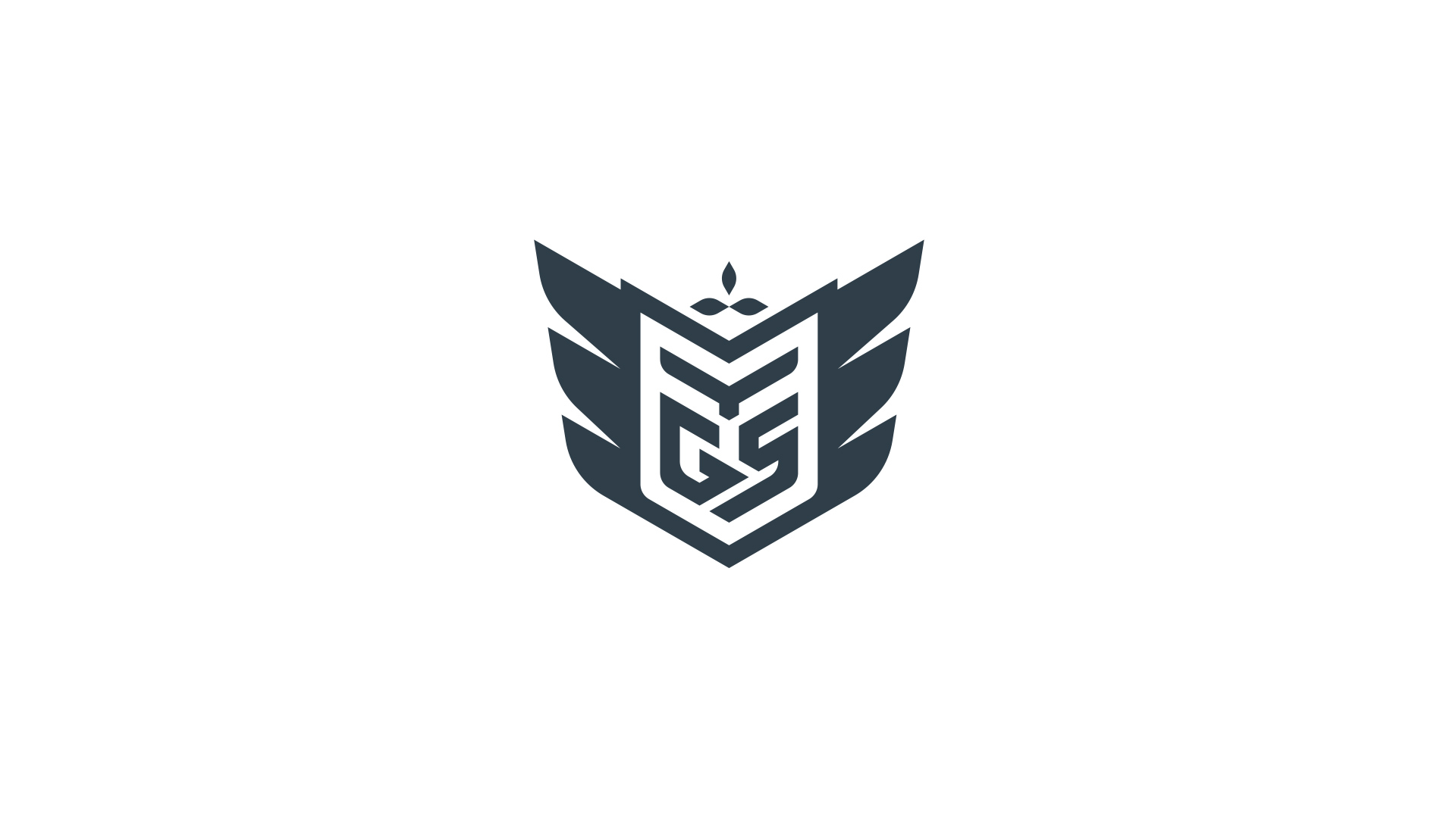especialista en identidad visual, diseño grafico paraguay, diseño de logos en paraguay, diseño gráfico, diseño de logos y marcas