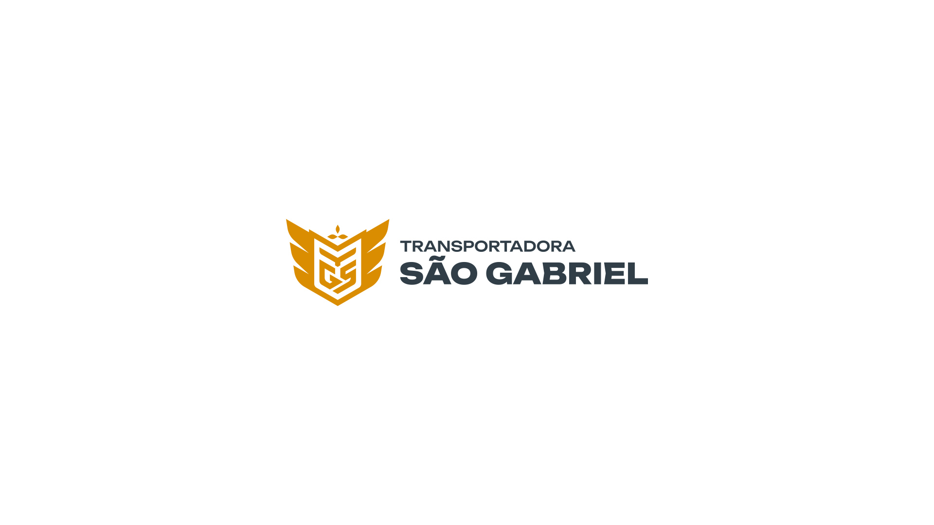especialista en identidad visual, diseño grafico paraguay, diseño de logos en paraguay, diseño gráfico, diseño de logos y marcas