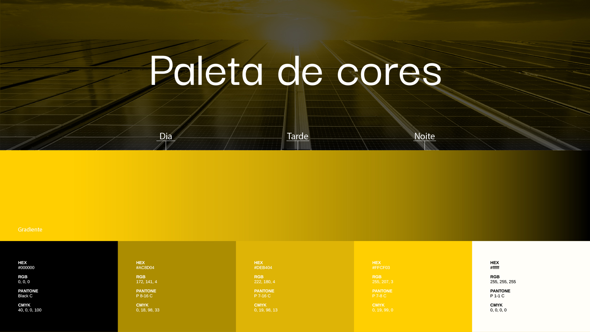 especialista en identidad visual, diseño grafico paraguay, diseño de logos en paraguay, diseño gráfico, diseño de logos y marcas