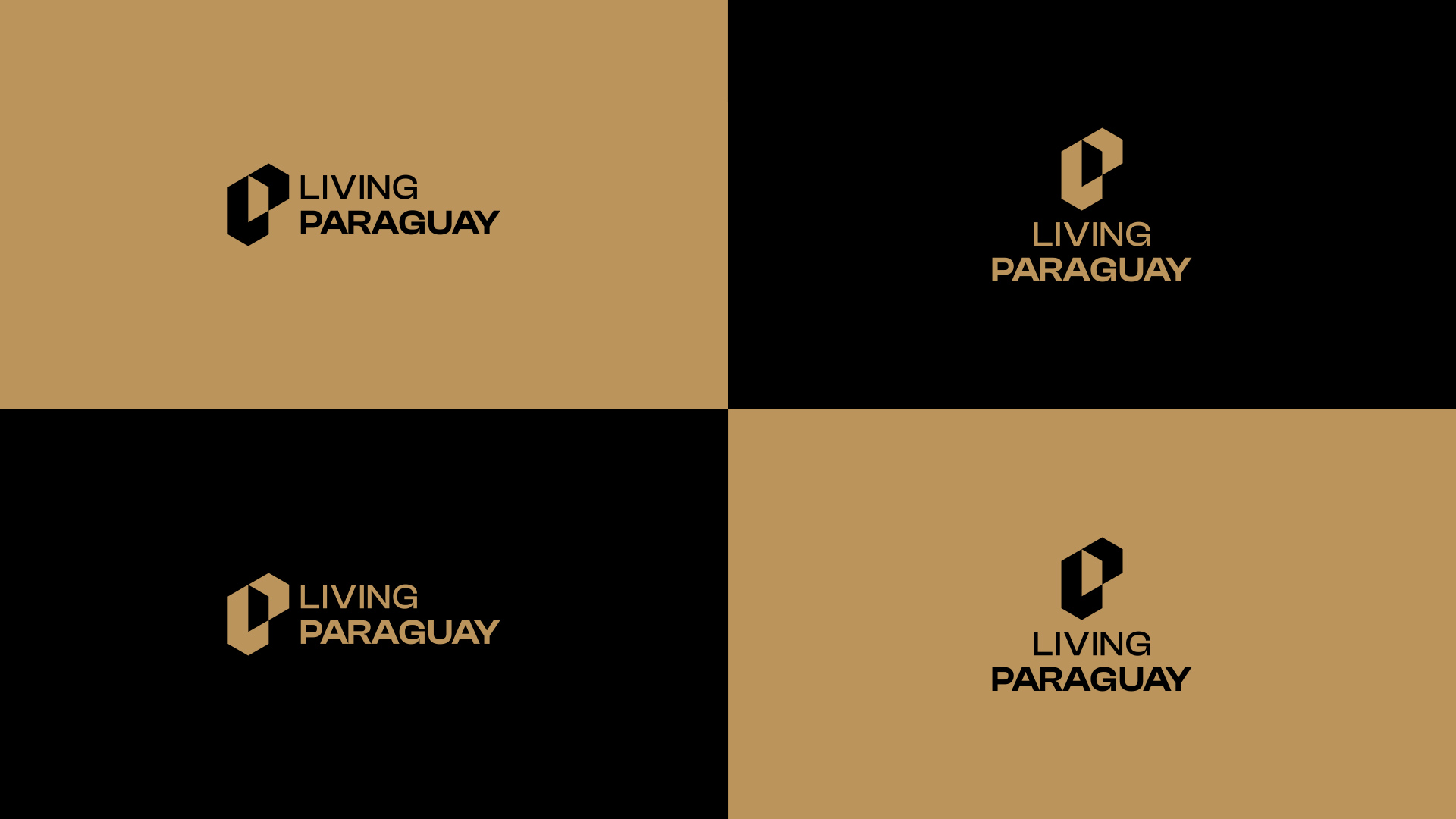 especialista en identidad visual, diseño grafico paraguay, diseño de logos en paraguay, diseño gráfico, diseño de logos y marcas