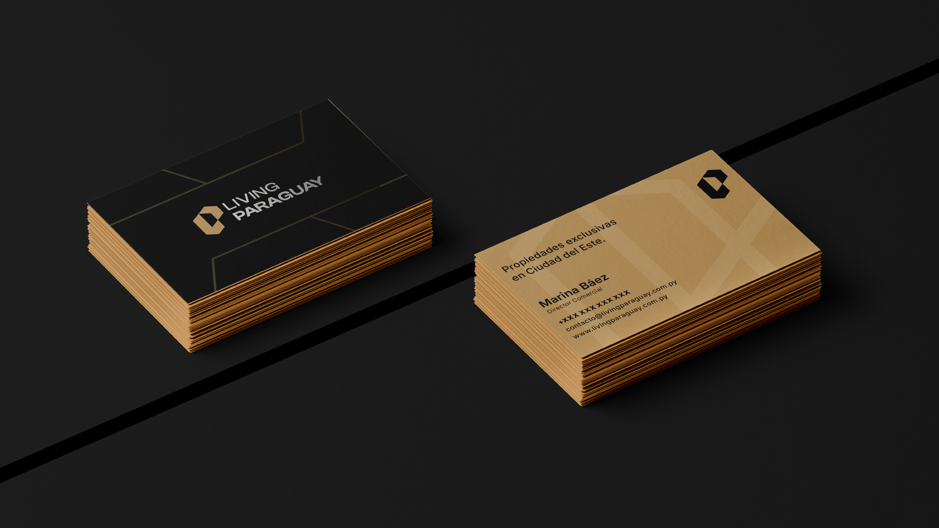 especialista en identidad visual, diseño grafico paraguay, diseño de logos en paraguay, diseño gráfico, diseño de logos y marcas