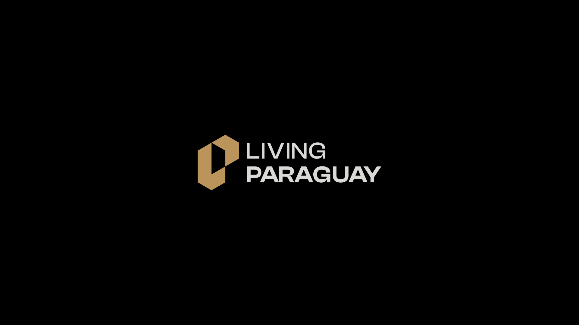 especialista en identidad visual, diseño grafico paraguay, diseño de logos en paraguay, diseño gráfico, diseño de logos y marcas