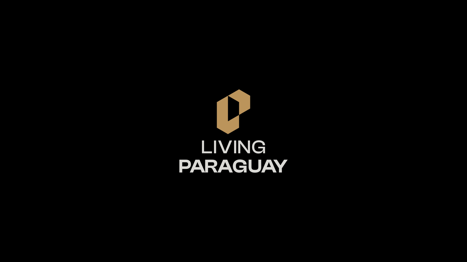 especialista en identidad visual, diseño grafico paraguay, diseño de logos en paraguay, diseño gráfico, diseño de logos y marcas