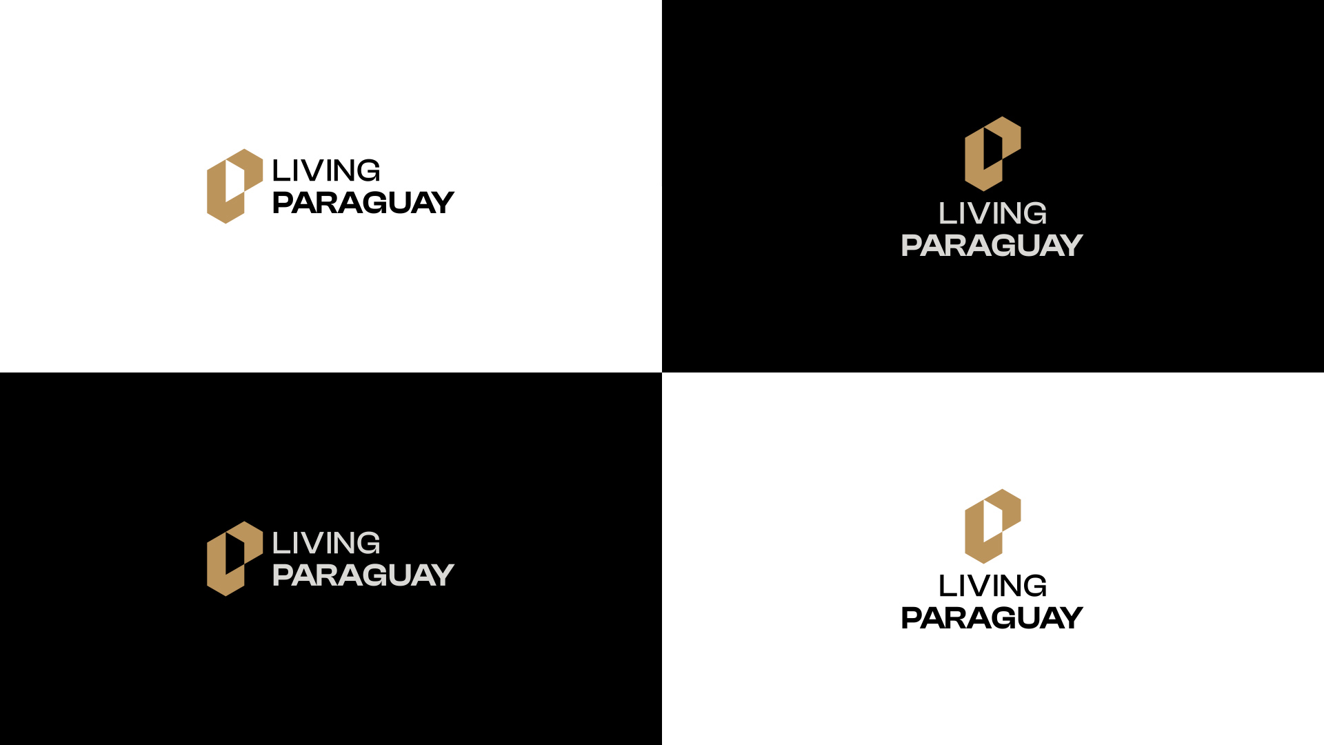 especialista en identidad visual, diseño grafico paraguay, diseño de logos en paraguay, diseño gráfico, diseño de logos y marcas