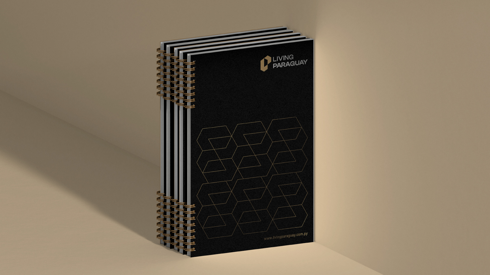 especialista en identidad visual, diseño grafico paraguay, diseño de logos en paraguay, diseño gráfico, diseño de logos y marcas