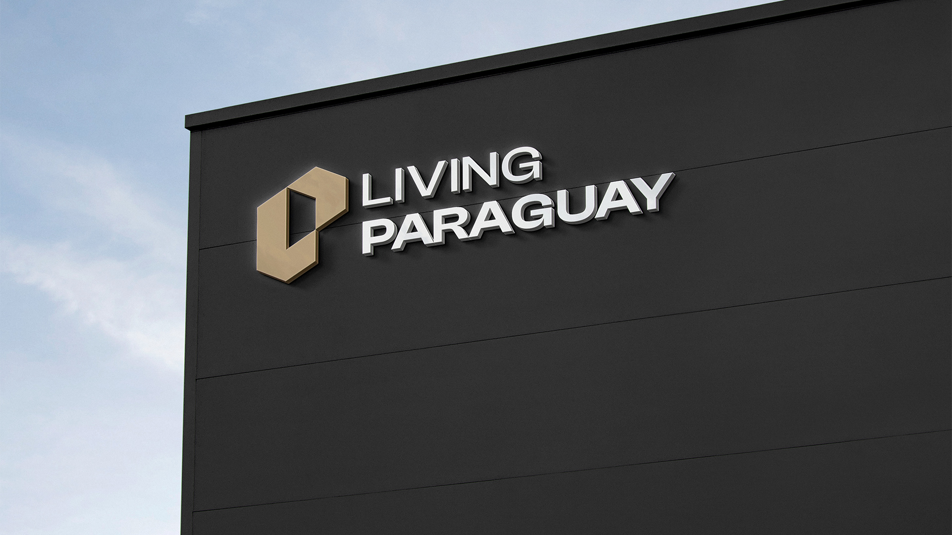 especialista en identidad visual, diseño grafico paraguay, diseño de logos en paraguay, diseño gráfico, diseño de logos y marcas