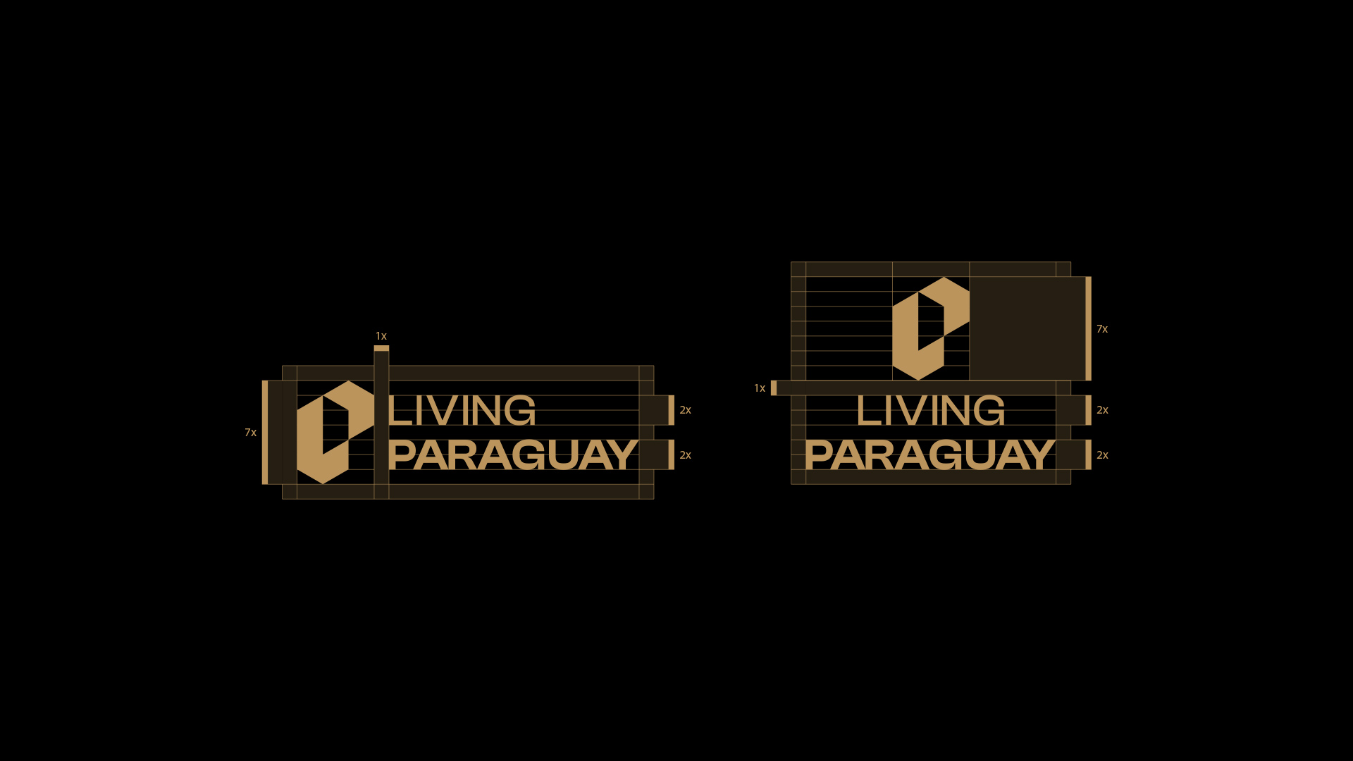 especialista en identidad visual, diseño grafico paraguay, diseño de logos en paraguay, diseño gráfico, diseño de logos y marcas