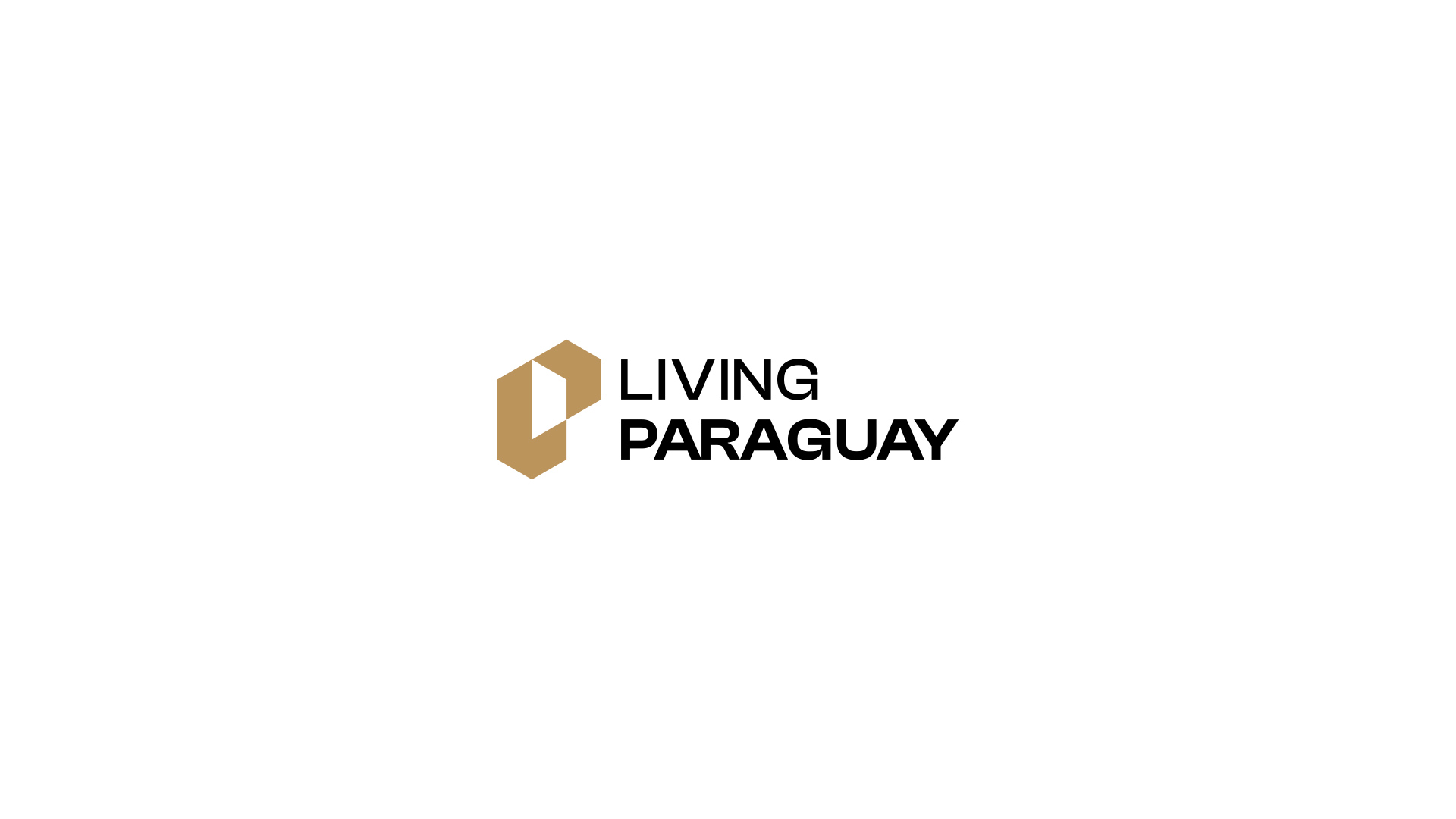 especialista en identidad visual, diseño grafico paraguay, diseño de logos en paraguay, diseño gráfico, diseño de logos y marcas