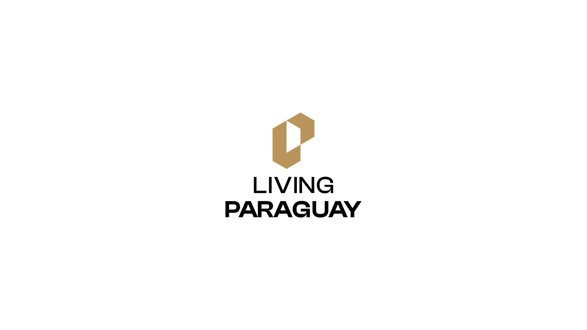 especialista en identidad visual, diseño grafico paraguay, diseño de logos en paraguay, diseño gráfico, diseño de logos y marcas
