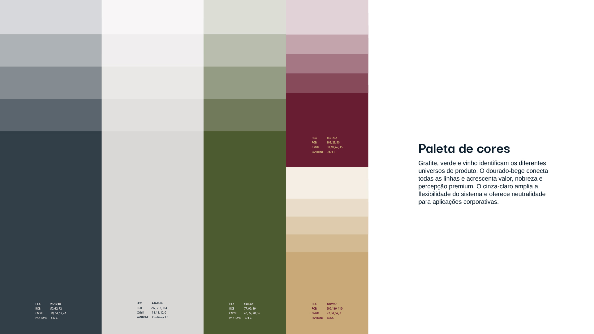 especialista en identidad visual, diseño grafico paraguay, diseño de logos en paraguay, diseño gráfico, diseño de logos y marcas