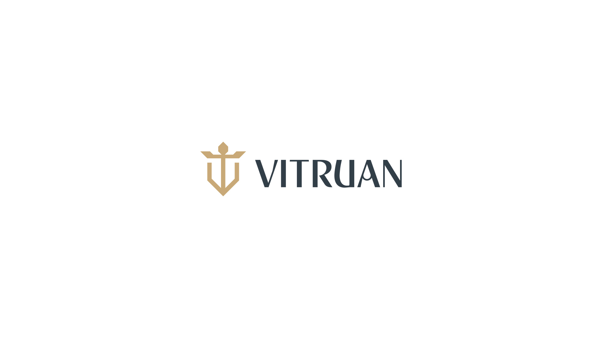 especialista en identidad visual, diseño grafico paraguay, diseño de logos en paraguay, diseño gráfico, diseño de logos y marcas